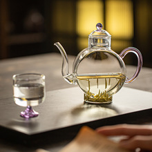 高硼硅玻璃绿茶专用泡茶壶女士轻奢现代高级感不烫手手执壶家用