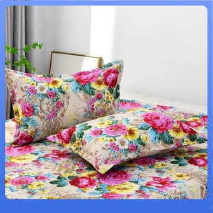 ĥë���׼Ӵ�48*78CM�H�w͸�����^�׳��ˆ�����о�׏S�����lӡ��
