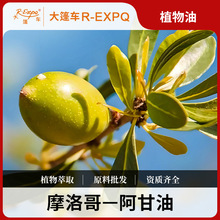 ������Ħ����M��ԭ�����w��ĦSPA��Ħֲ����A��Ħ�����l