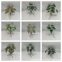 ����Gֲ�����~�ع��~���W�҃��bٻ����Ի���ֲ��@���b�