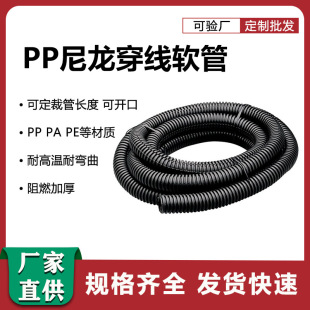 ���y�����a�S�Ҵ�����ɫ���y�������߾����y����ȼPP���y�׹�
