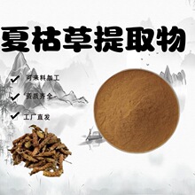 夏枯草提取物10∶1夏枯草皂甙水溶性粉食品级原料粉末现货包邮