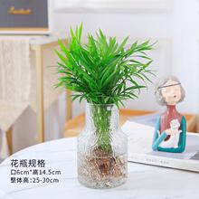 .����Ҭ��ˮ��ֲ�︻�FҬ�����ԾGֲ�҃�ˮ�໨��ɢβ���^�~С��