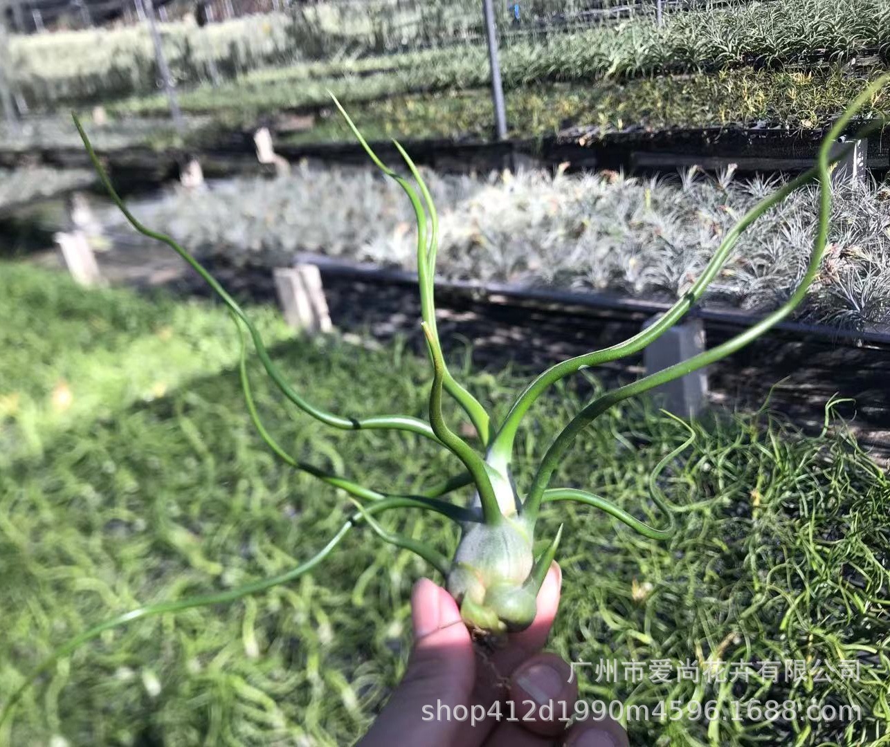 微信图片_20210715152435_看图王