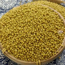 �F�������a���w��׿��w������w������w�����ȴּZ�s�Z���l