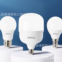 �Đ�5������ȫ���V����LED���ݰ׹�  20W 30W 40W 50W 70W 100W