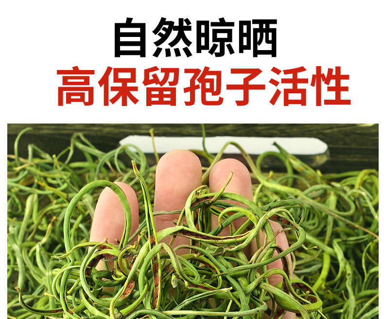 Shen Jing Cao Herbal Tea Wild Small Leaf 500g Men's Wellness Tea specifications