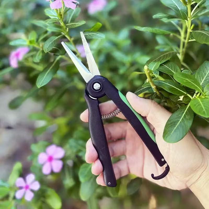 修枝剪花枝剪刀摘果剪蔬果采摘水果园艺盆景专修嫁接树枝园艺神器