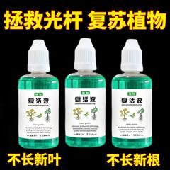 正品植物専用復活黄葉光棒発黄根壮苗成長快速活性花卉吸収