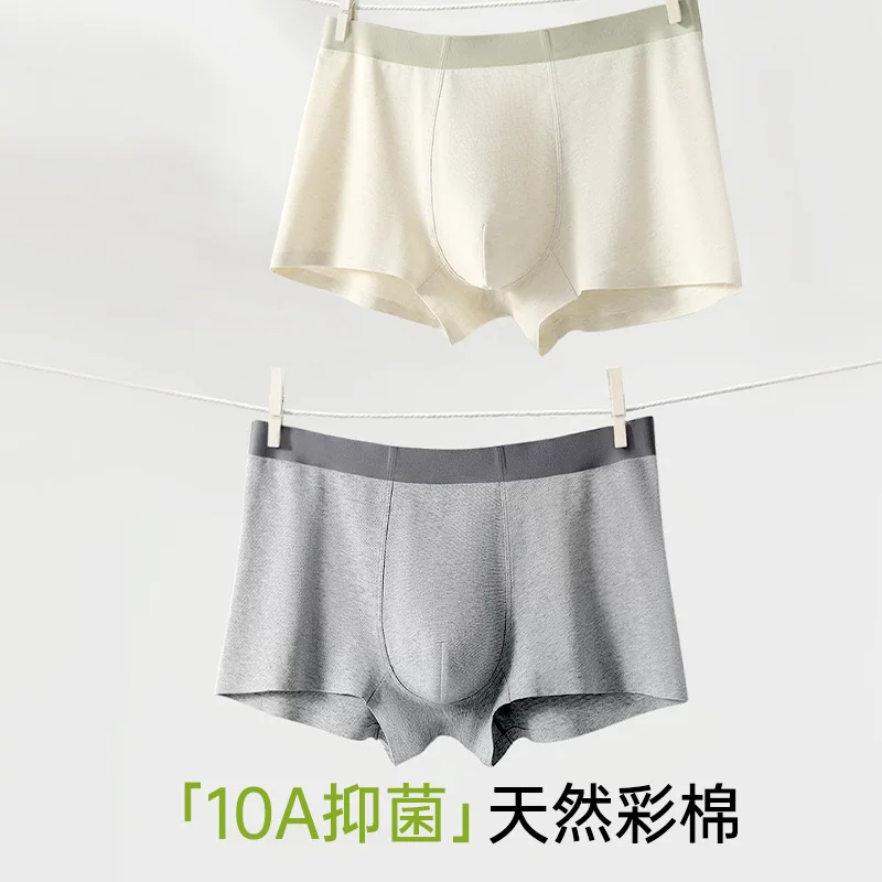 Antibacterial cotton breathable pants, shorts, plus size
