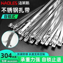 ���iʽ���P�����304���o�� 16mm�����͸ߜ����������ߏ����F���z