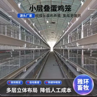 全自动蛋鸡笼多层养鸡设备厂家层叠自动化捡蛋清粪小层叠鸡笼子