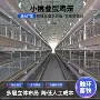 自动养鸡多层自动化蛋鸡笼