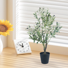 ���_���S�F؛�����ϙ���軨�ĔzͥԺ���@�Ҿӹ����b���Gֲ