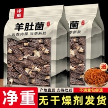 25^Ǿɽخaǹ؛ҜǾʳĸ؛