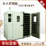 子母源头立方鼓风干燥箱