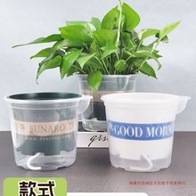 懒人花盆自动吸水家用加仑盆塑料水培免浇水绿萝多肉厂家直销