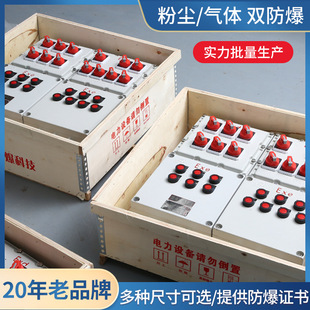 Explosion-Proof Distribution Box Lighting Power Instrument Maintenance Socket Junction Box Carbon Steel Control Power Supply Complete Set of Distribution Cabinets