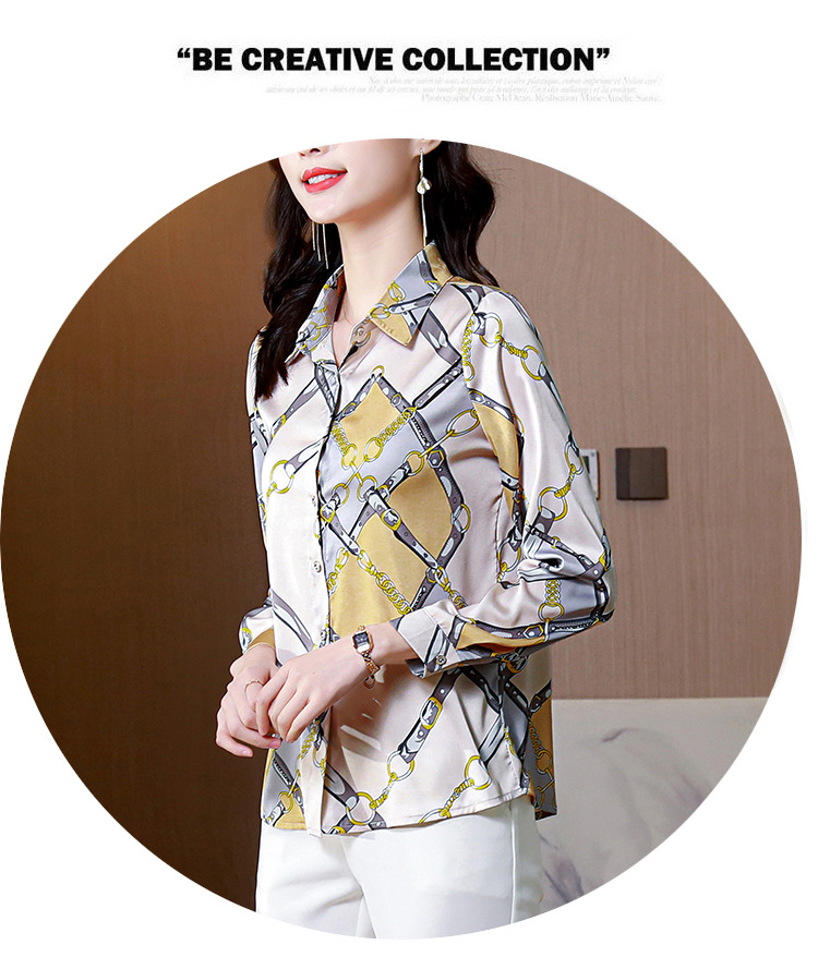 Silk Shirt Image