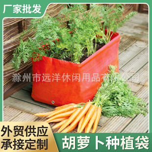 �羳�Ӻ�ֲ��Nֲ���NֲͰ��ֲ�����Ѻ��}���S���R����Nֲ��