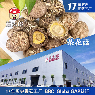 �㹽��؛�軨��Ģ����؛������3-4CM�ϱ���؛�����ɻ��؂䰸