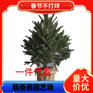 һ�����l����}�Q�����������Ų���ɼ������Zؐ���}�Q�����