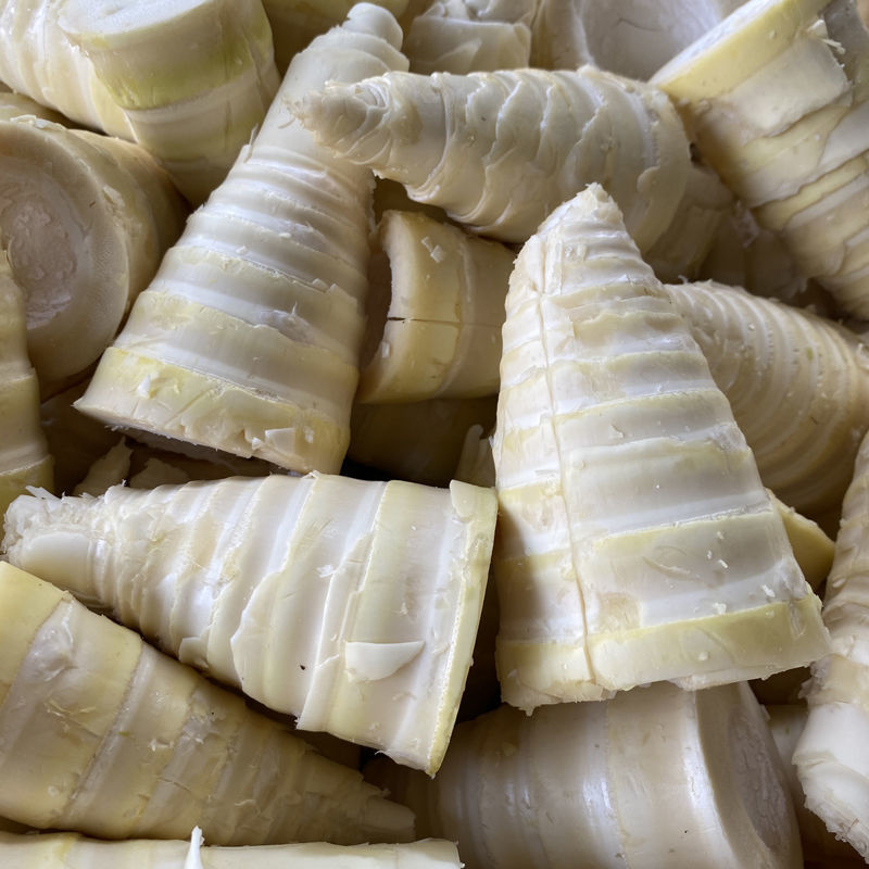 Bamboo shoots fresh Bamboo shoot tips Wild bamboo shoot Farm Boiled bamboo shoots Bagged Chunsun Hot Pot Bamboo shoots Shoots Dendrocalamus latiflorus wholesale