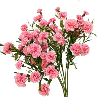 6�^ʯ��С���� ����ܰ���滨�ٻ���c�Ҿ��b�ĸ�H���̎����û�