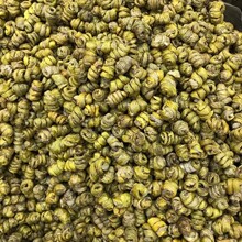 ���������FƤʯ������ʯ���l�x����Ƥ�Ҝ����a��؛250g�����]