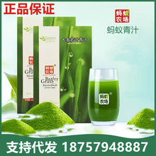蚂蚁农场大麦若叶青汁3g*50粉官方正品即食谷物代餐粉麦苗粉