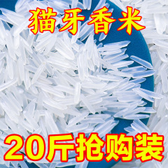 【猫牙香米】新米新鮮炊飯ソフトモチモチ長粒香米良質南方米20斤
