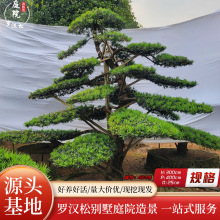 �辰�_�h���ɘ�ͥԺ�쾰�Gֲ�̨�G�����^�䘶ͥԺ��û����ľ