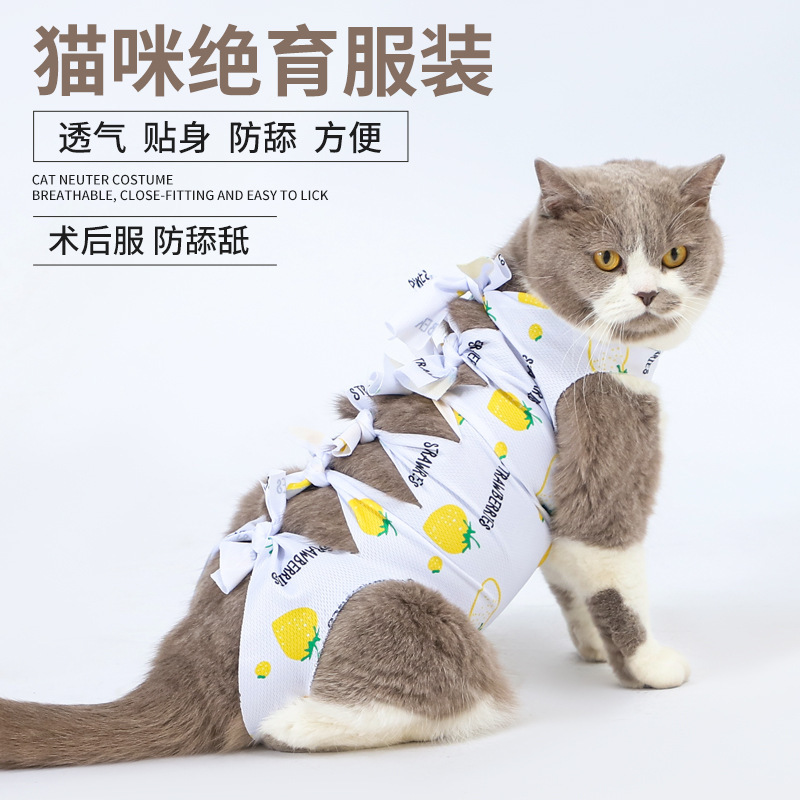 猫の不妊手術服、雌猫の離乳服、ペットの術後舐め防止服、雄猫の手術用ストラップ服、通気性のある離乳服|undefined