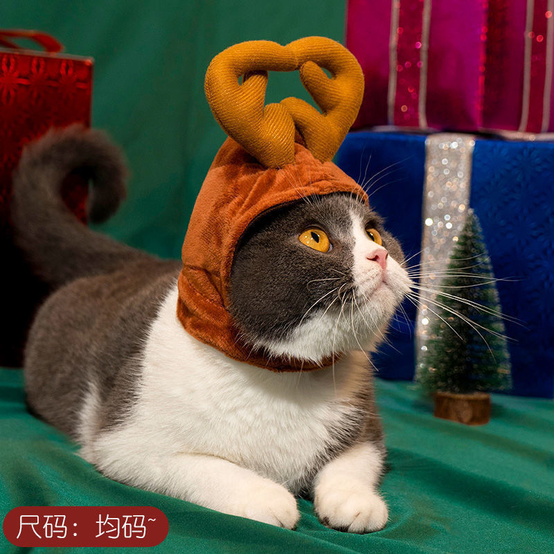 猫犬クリスマスかわいい服幼猫小型犬テディ比熊英短ぬいぐるみクリスマスマント|undefined