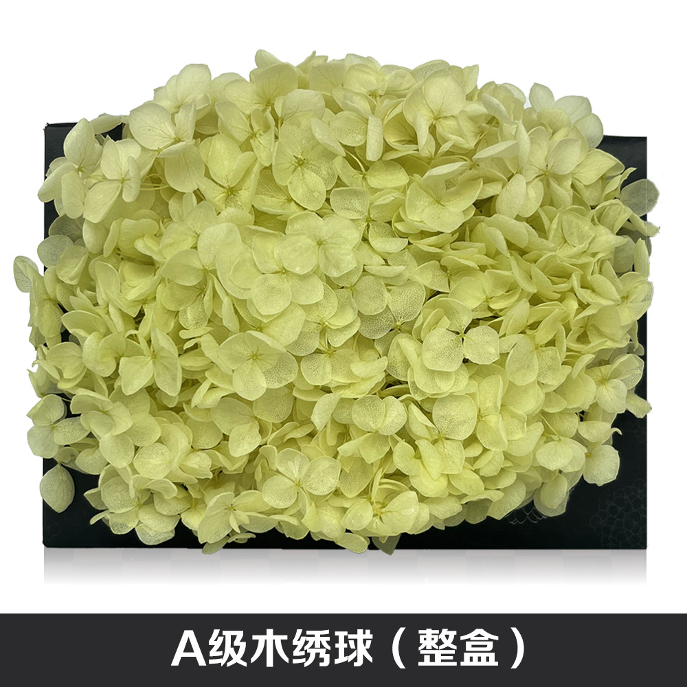 Anna Hortensia flor eterna Rosa Eterna caja de regalo flor seca flor preservada Flor Eterna