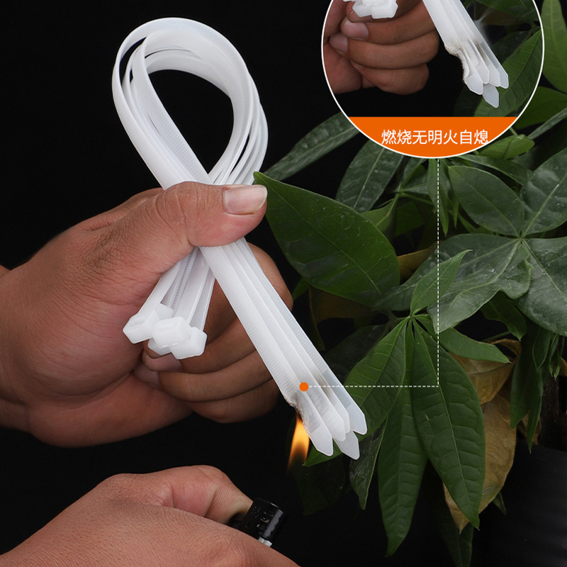 尼龙塑料扎带卡扣强力束线带电线捆绑带固定自锁式扎线带  捆扎带