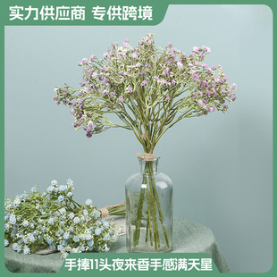 羳11^ҹָНMǼҾ҃bϻl