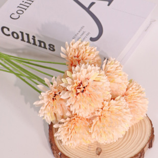 �羳���Nins�L����ջ������m��춼�ͥ�k���ҿ������Ɍ��ͻ�c