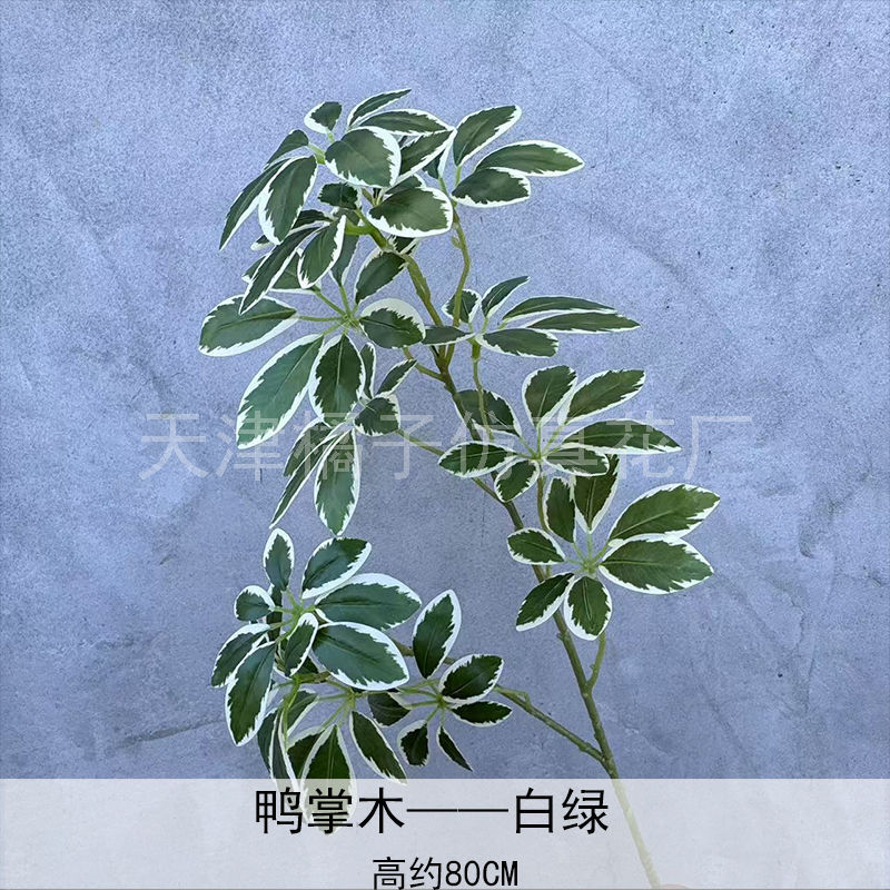 Flores de boda de alta calidad de flores de madera verde de bambú y lirio de pino masson de alta calidad