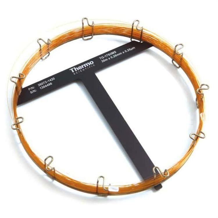 Thermo Scientific™ Dionex OnGuard II RP 柱芯 1mL 082760 260