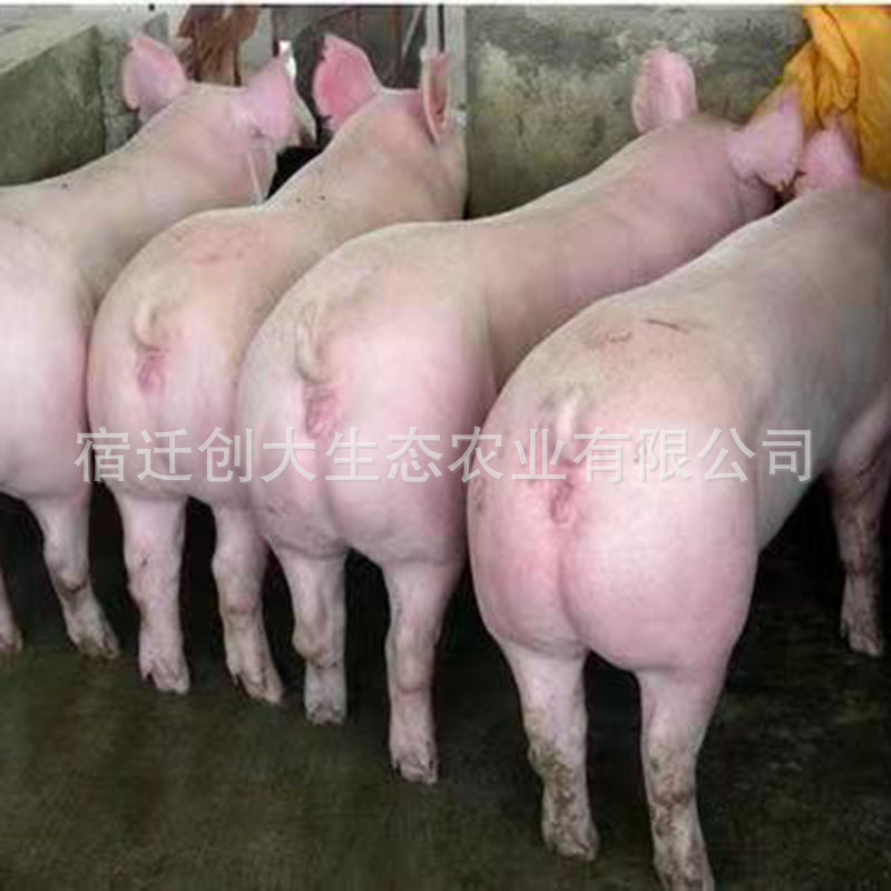 530543ed79389c4010a9367040ab45