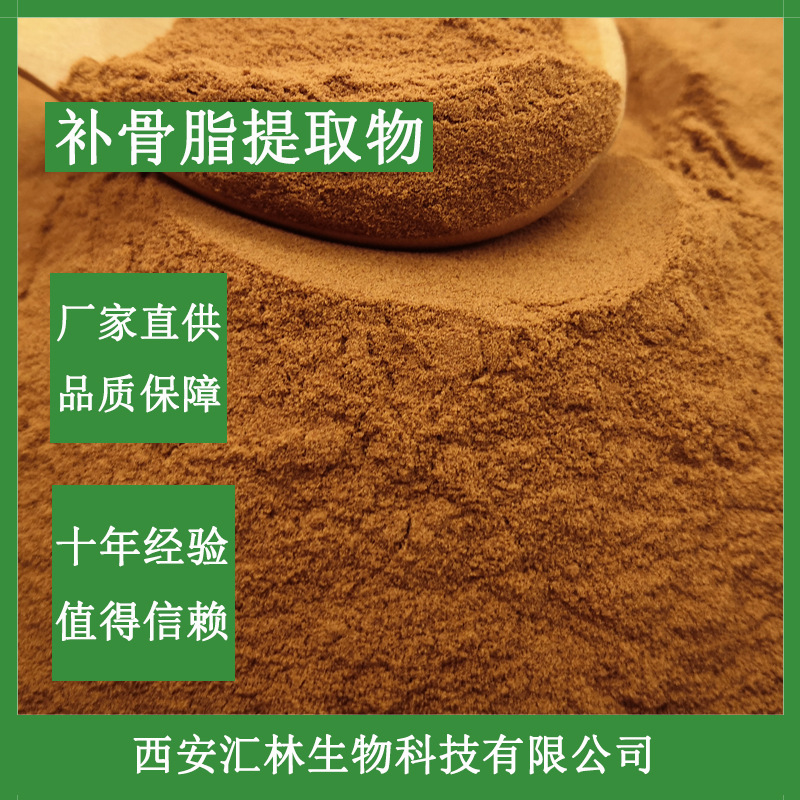 补骨脂提取物 10:1 补骨脂粉 水溶粉 现货供应  量大从优