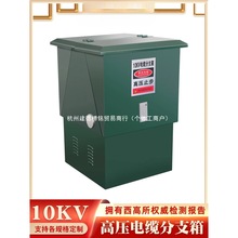 �|�10KV�Wʽ����^ �����D�ӷֽ��� t�����ͽ��^ �߉���|��֧��