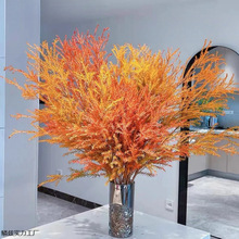 ��ϻ���ֱ�lǧ�ӽ��S�������k���ҿ͏d�廨�r��ˮ��ɻ����]