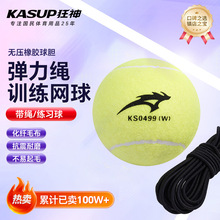 ����KSNL0499�W��  ���K/������