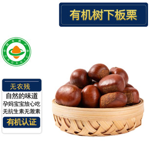 �ЙC�r���� ����5���b ���¬F���Ȱl �ЙC�J�C�o�r�� ����������