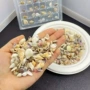 手工混合材料海螺许愿瓶