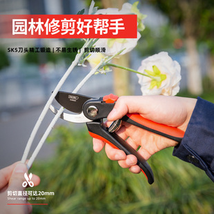�������߼�֦��֦��������@ˇ���޼���֦������ˇ��ʡ�����֦��
