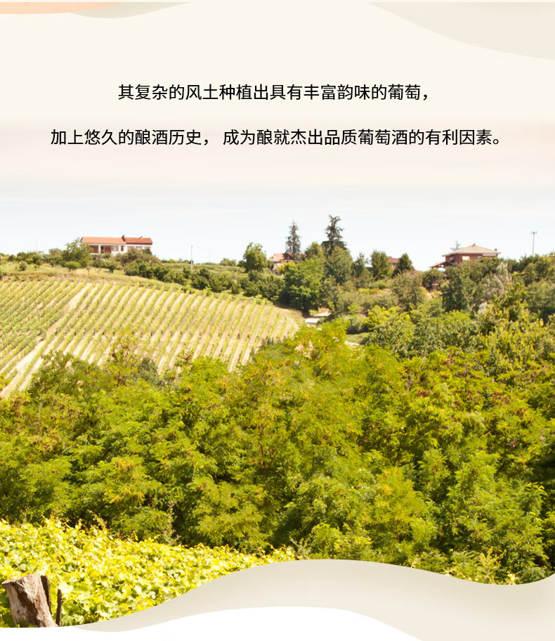 详情页04.jpg
