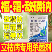 40%��˪�����c�{���ݲ����Ú��������ǌ���ș��˪�`�����p